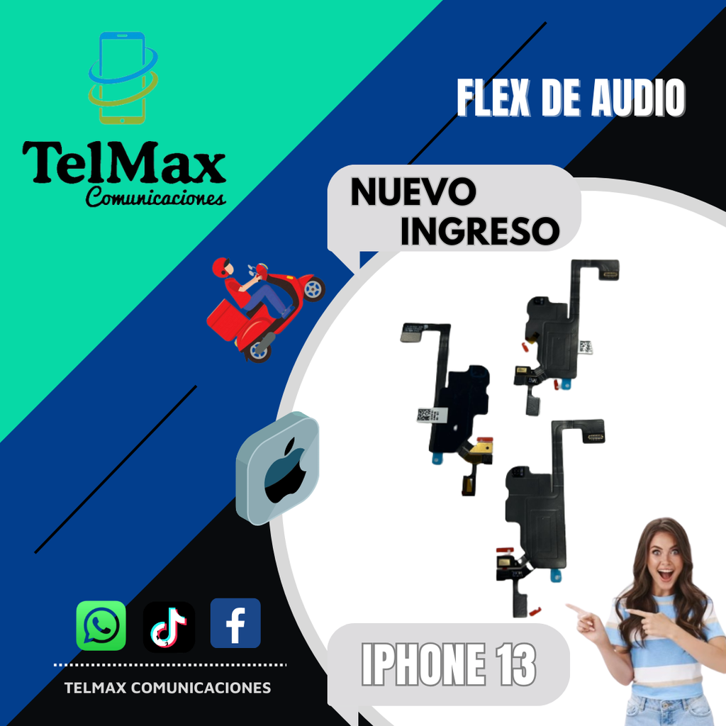 FLEX AUDIO PARA 13